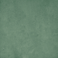 40843_SAMIRA GREEN LT//R Harmony Samira