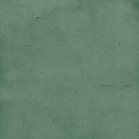 40843_SAMIRA GREEN LT//R Harmony Samira