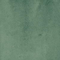 40843_SAMIRA GREEN LT//R Harmony Samira