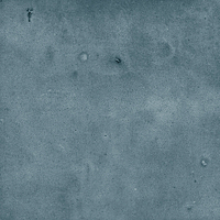 40844_SAMIRA PETROL LT//R Harmony Samira