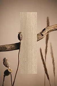 Background tile, Effect wood, Color beige, Unglazed porcelain stoneware, 20x120 cm, Finish antislip