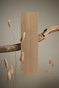 Background tile, Effect wood, Color brown, Unglazed porcelain stoneware, 20x120 cm, Finish antislip