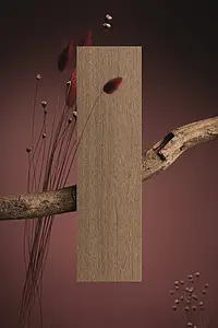 Background tile, Effect wood, Color brown, Unglazed porcelain stoneware, 20x120 cm, Finish antislip