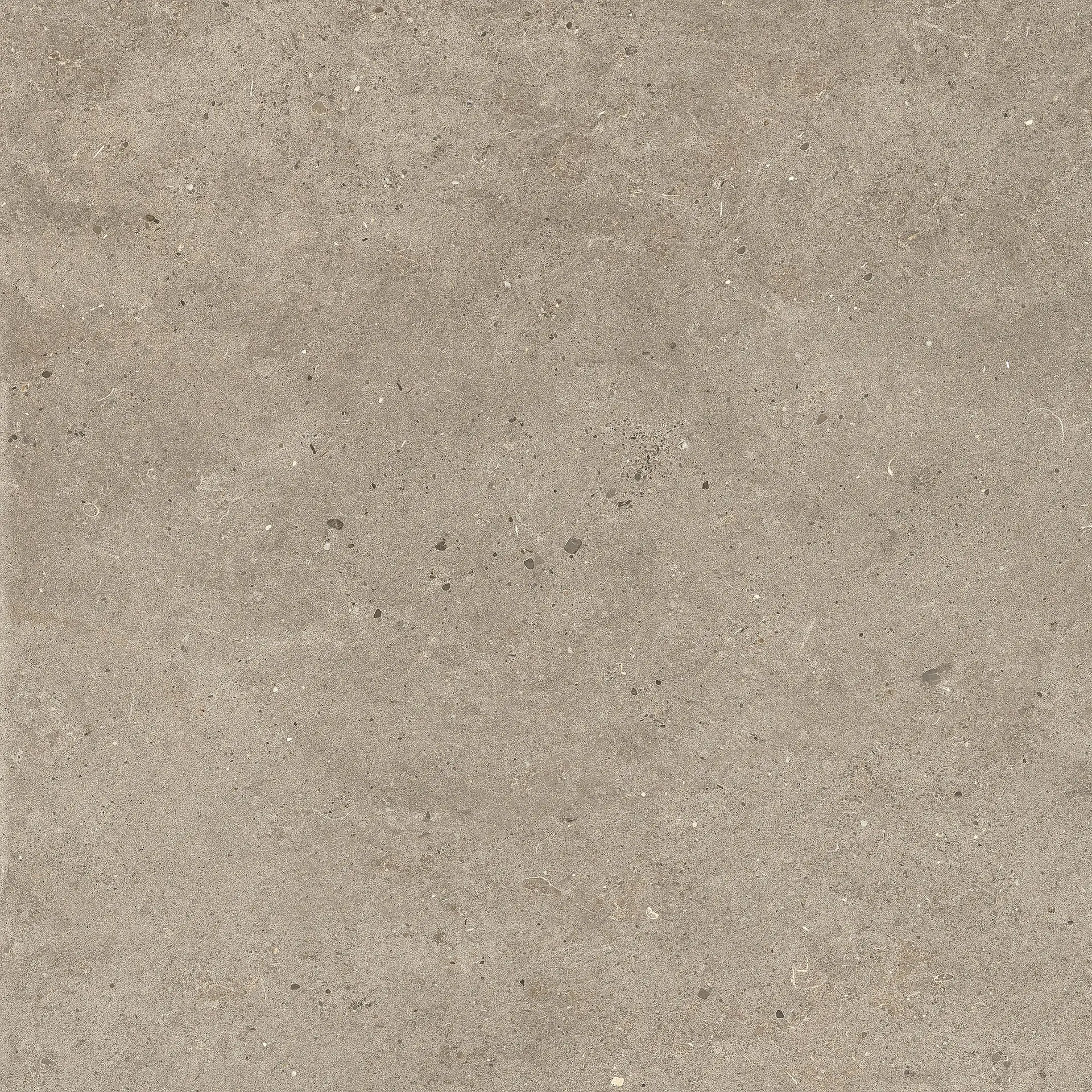 SI04682_SilverGrainTaupeAntislipSq.2Cm Impronta Italgraniti Ceppo di Gre & Silver Grain