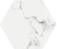 15ESMAWH_EsagoneMarmiWhite Keradom Marmi