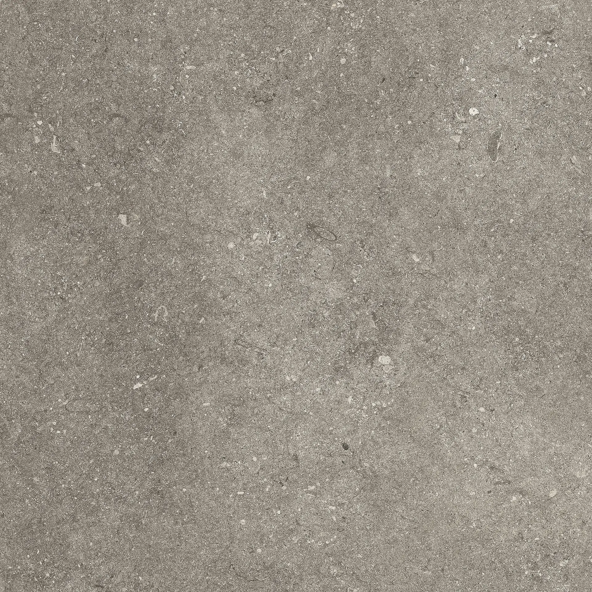 RS103_TAUPE Kronos Le Reverse