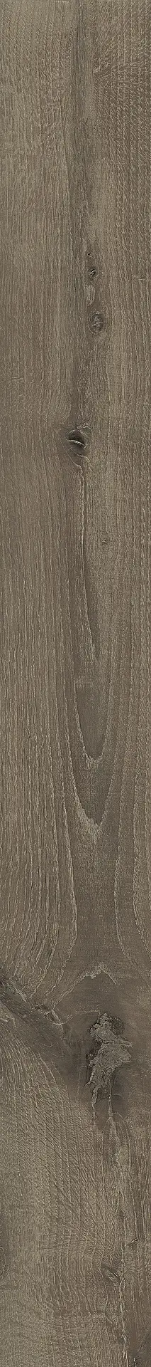 LB013_BOCOTE Kronos Les Bois