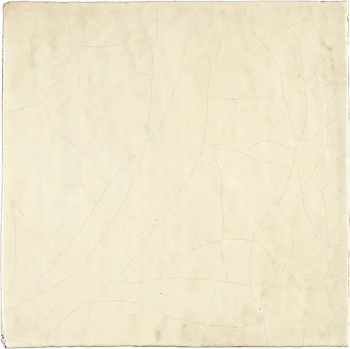 Studio Le Nid, Ficus Indica, BIANCO ANTICO SATINATO_1_BiancoAnticoSatinato_1