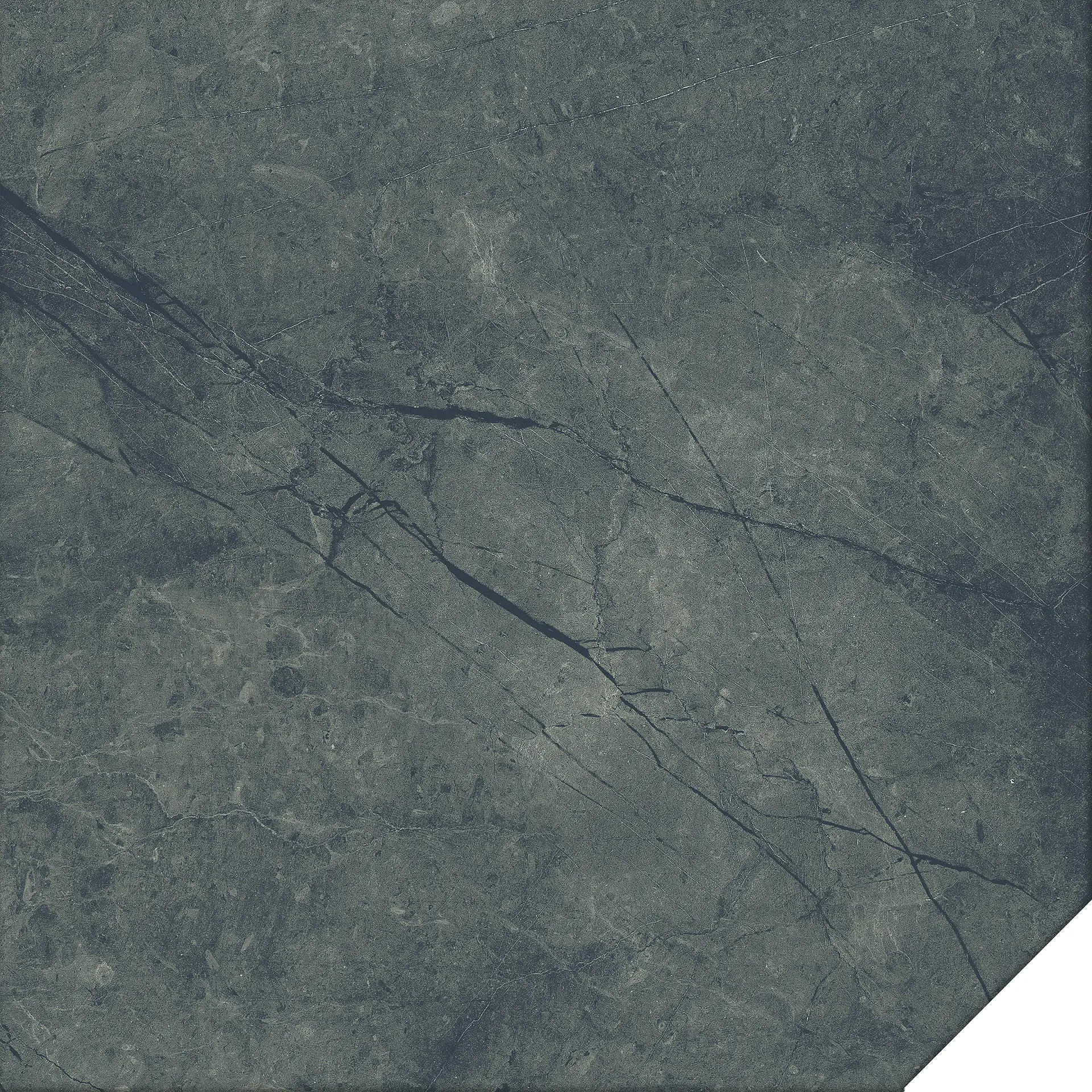 Tile Expert Avisnull