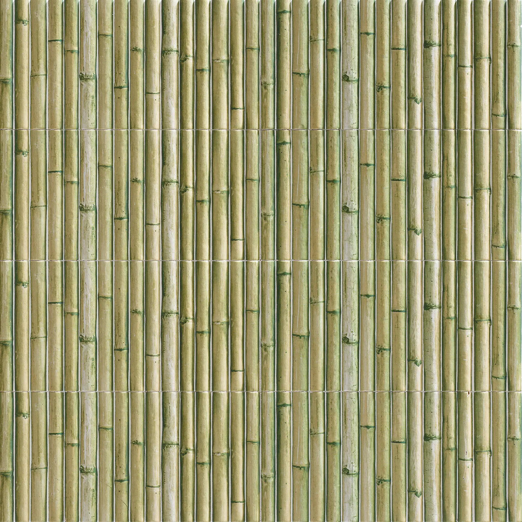 PT03452_BAMBOO GREEN Mainzu Bamboo