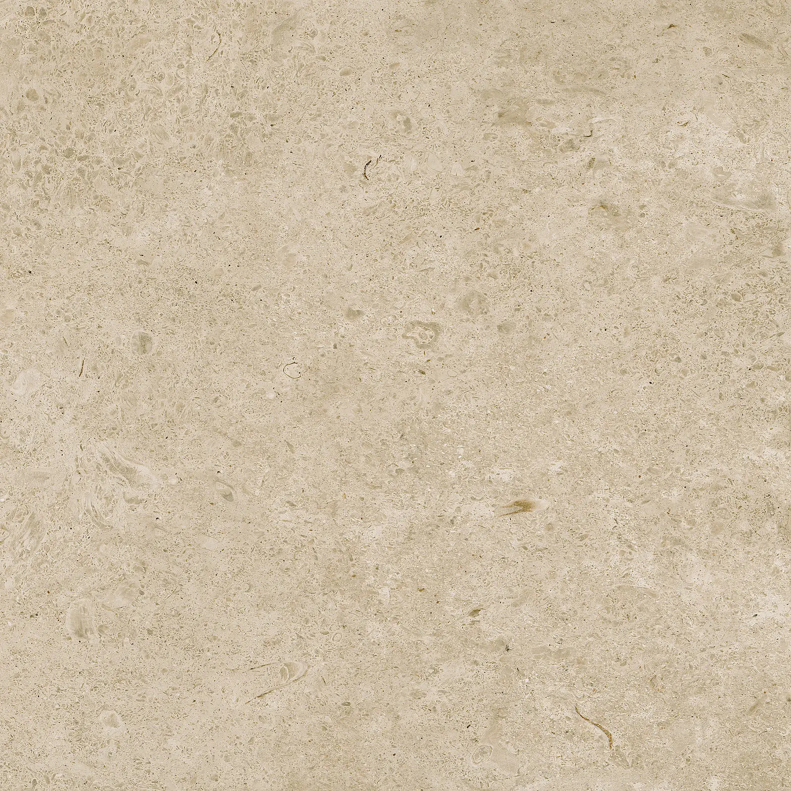 M97H_CaracterGreigeRett. Marazzi Carácter