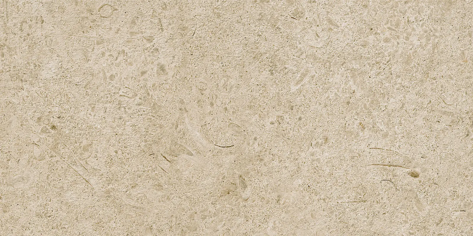 M97Q_CaracterGreigeRett. Marazzi Carácter