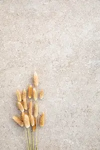Effekt sten, Farve beige, Grundflise, Uglaseret porcelænsstentøj, 60x120 cm, Overflade skridsikker
