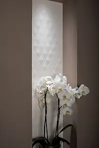 Piastrella di fondo, Effetto unicolore, Colore bianco, Ceramica, 40x80 cm, Superficie opaca