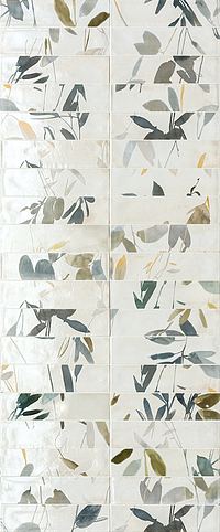 I879_MULTIFORME RAMAGE FREDDO Marca Corona Multiforme