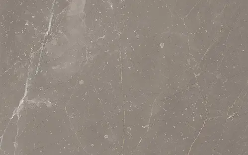 Moda & Musis, Rhapsody, 0450006_RhapsodyPulpis