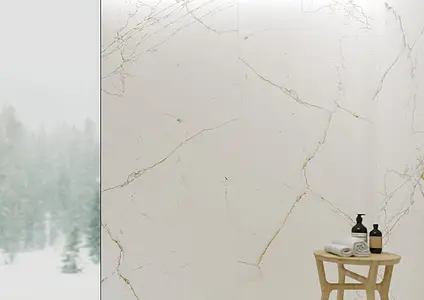 Piastrella di fondo, Effetto pietra,altri tipi di marmo, Colore bianco, Gres porcellanato non smaltato, 100x260 cm, Superficie opaca