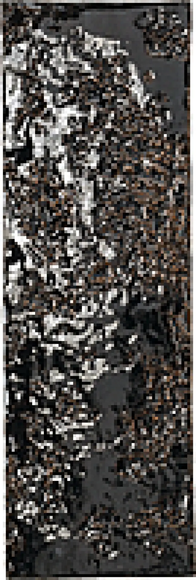 PUCM05_mono nera Mutina Chamotte