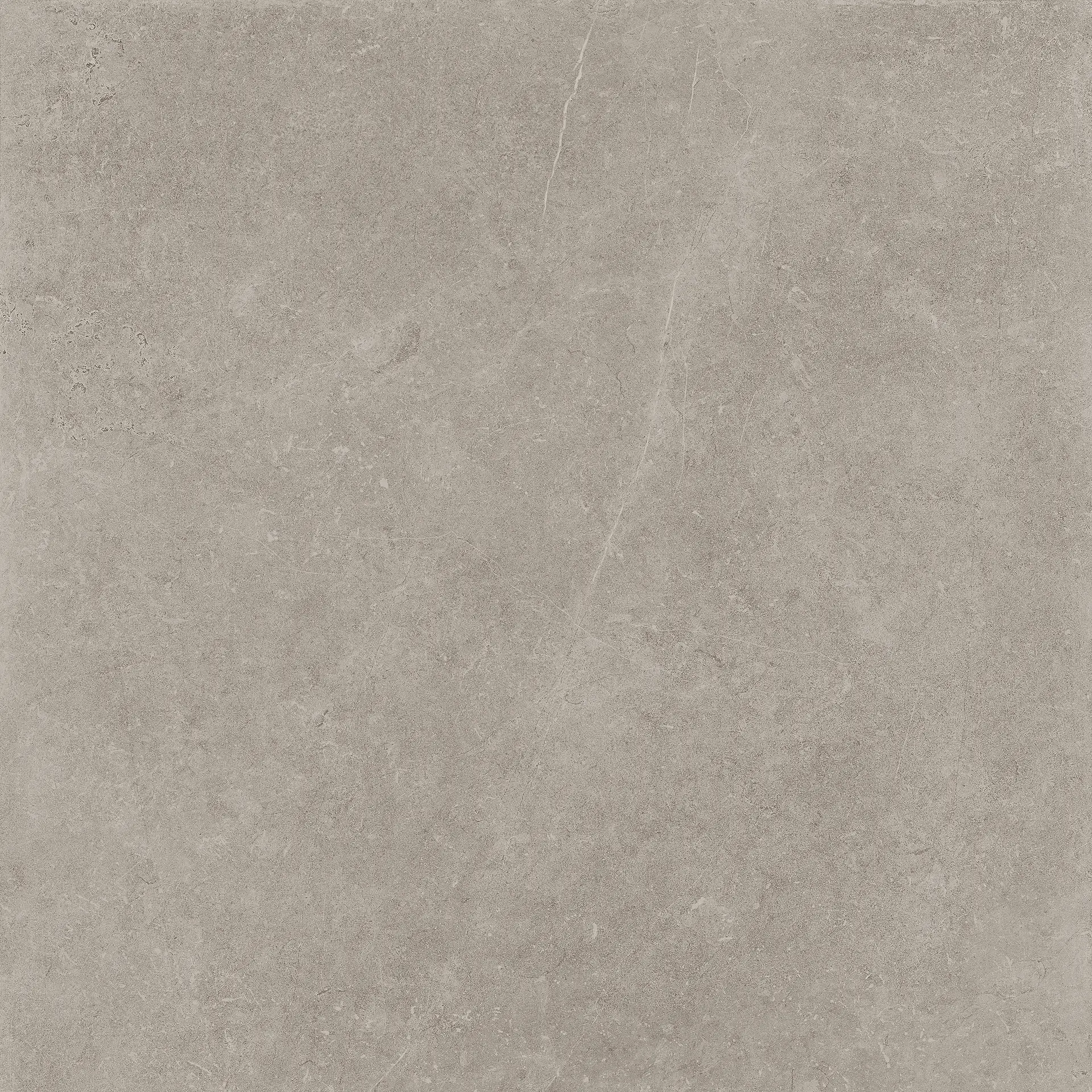 PGWPM20_SilverPrimeSoft/Rt Panaria Prime Stone