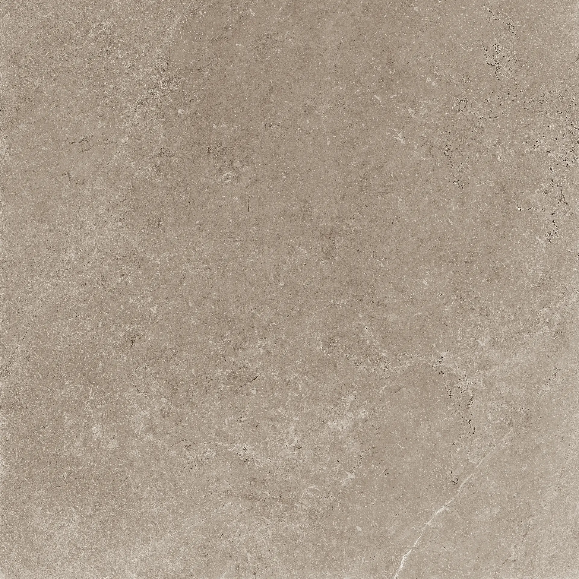 PGWPM30_GreigePrimeSoft/Rt Panaria Prime Stone