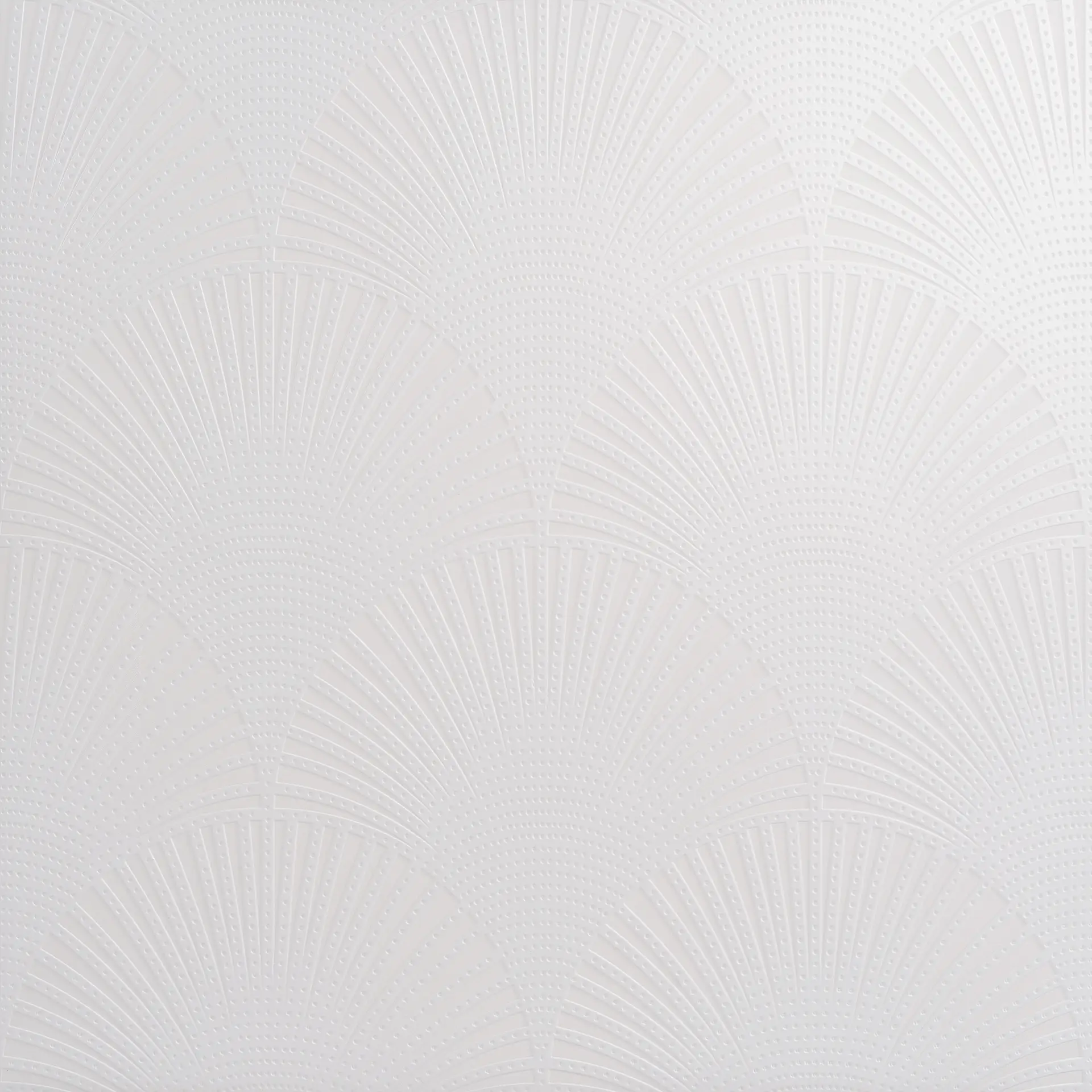 White Pavone on matt white _Pavone bianco su fondo bianco matt Petracer′s Swing