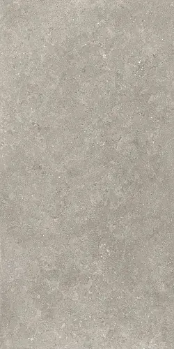 Ceramiche Piemme, Limestone, 05578_LimestoneEnglishGrey_R11_Ret_20mm