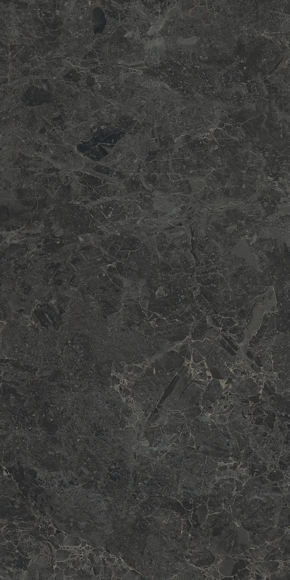 05498_LimestoneBelgiumBlackLap/Ret Piemme Limestone