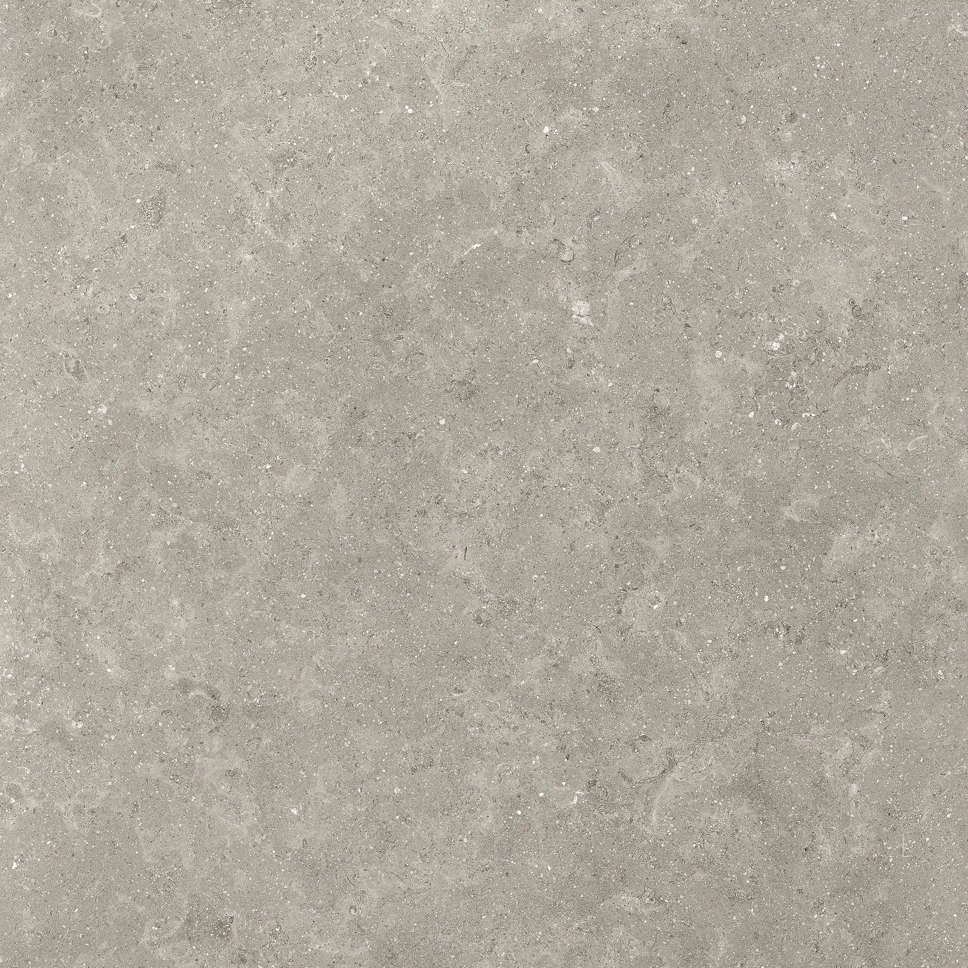 05502_LimestoneEnglishGreyNat/Ret Piemme Limestone