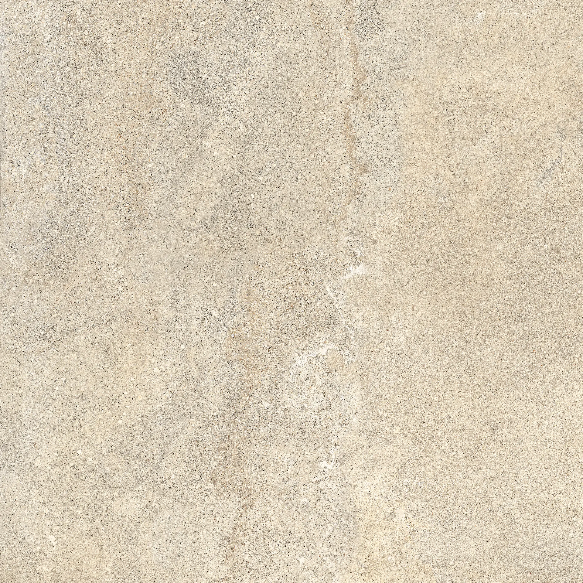 05505_LimestoneFrenchBeigeLap/Ret Piemme Limestone