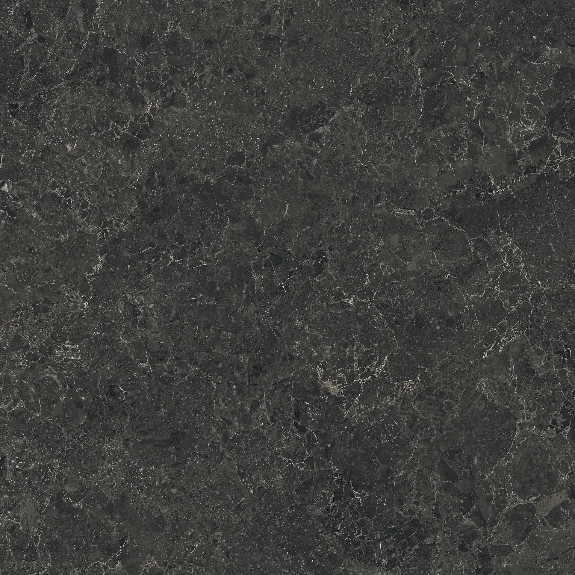 05507_LimestoneBelgiumBlackLap/Ret Piemme Limestone