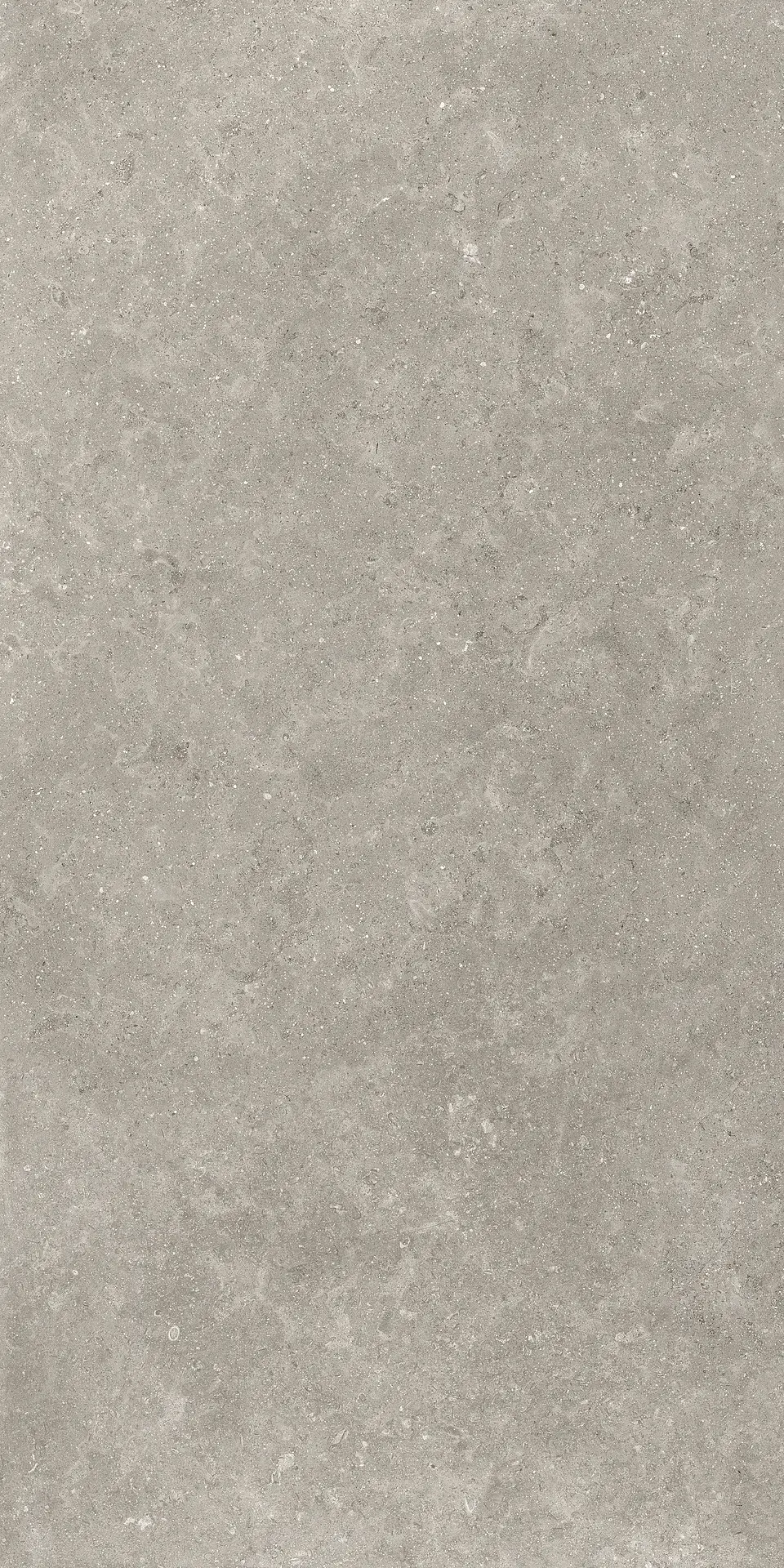 05517_LimestoneEnglishGreyLap/Ret Piemme Limestone