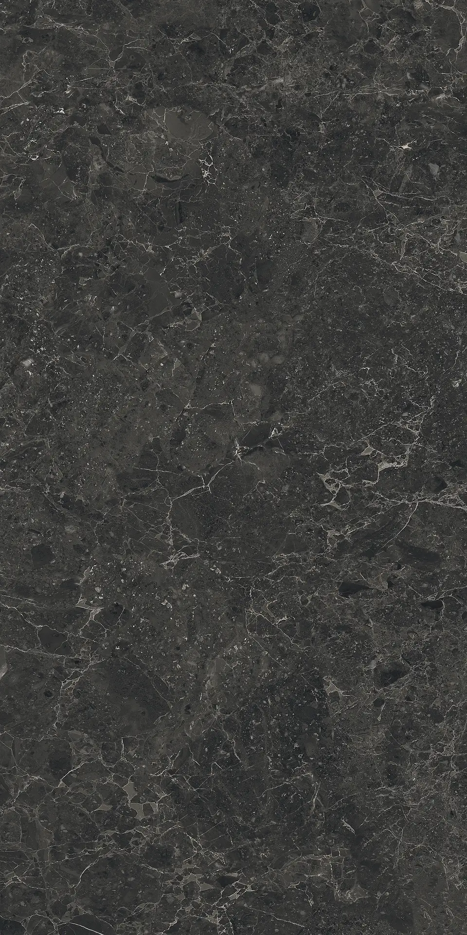 05518_LimestoneBelgiumBlackLap/Ret Piemme Limestone