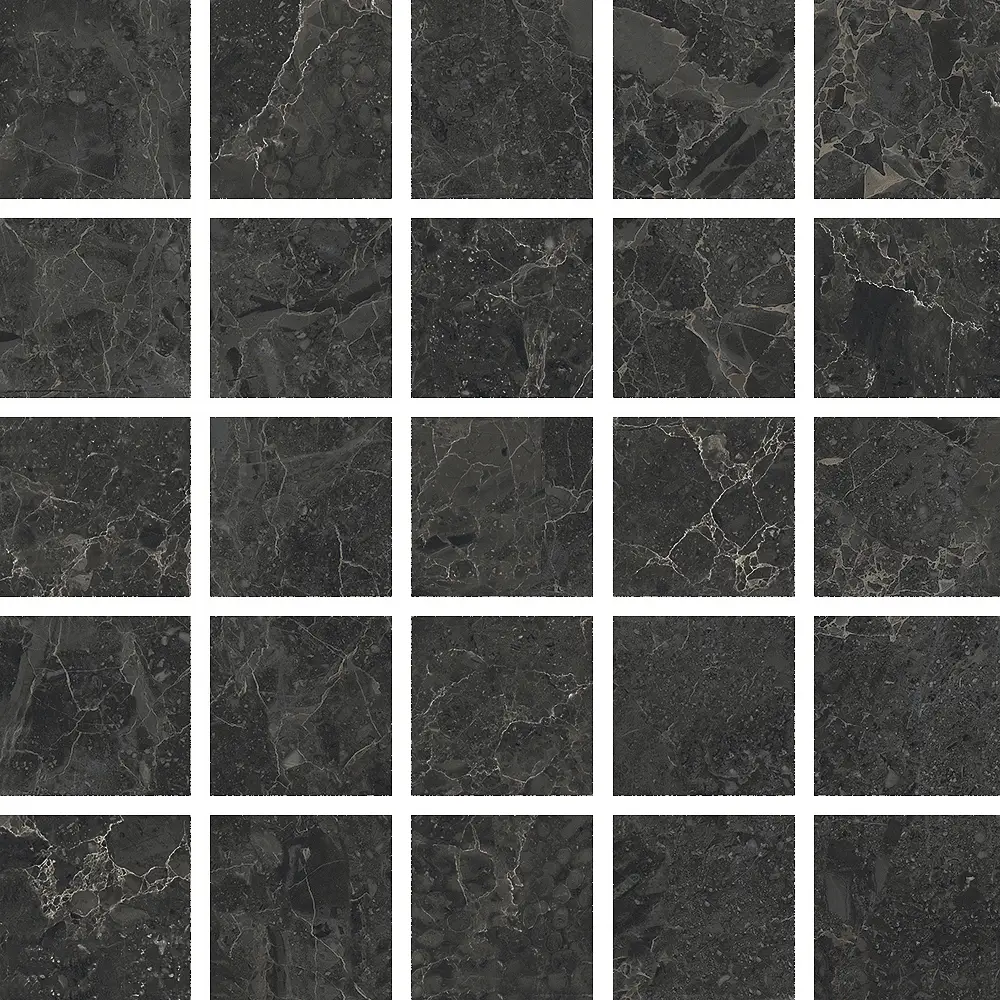 05589_LimestoneMosaicoBelgiumBlackLap/Ret Piemme Limestone