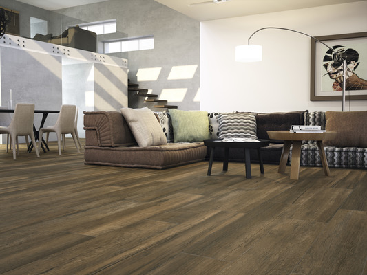 1317 Kollektion des Feinsteinzeuges hergestellt von Porcelanite Dos, 1, Optik holz
