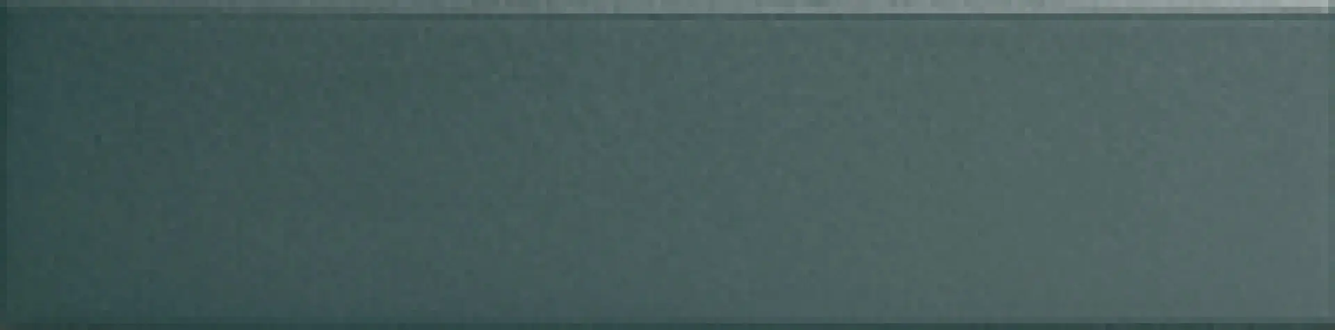 MDL110M_BaseMuschio Quintessenza Modulo