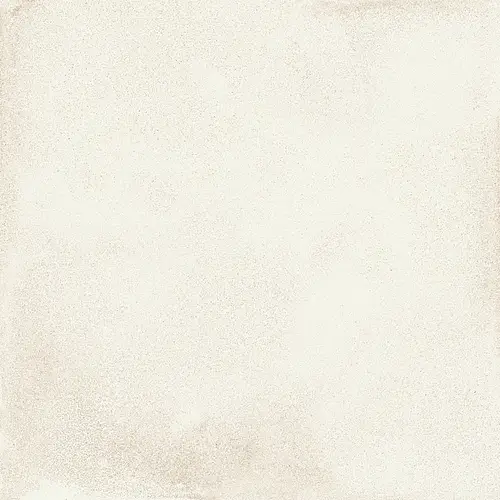 Ragno, Amuri, RC6Z_AmuriAvorio