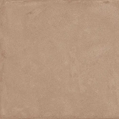 Ragno, Amuri, RC7C_AmuriCotto