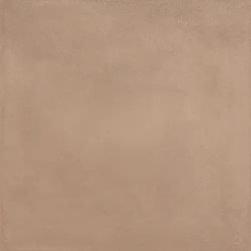 Ragno, Amuri, RC8Y_AmuriCottoRt