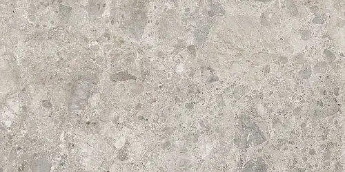 Ragno, Eterna, R8JQ_EternaMixGris