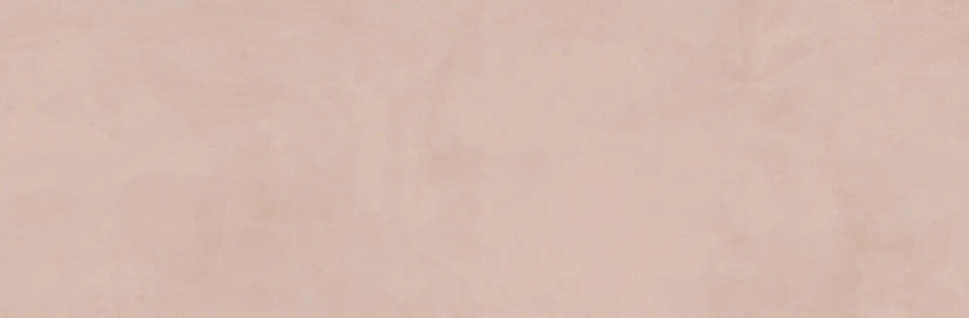 R9MV_NowRosa Ragno Now