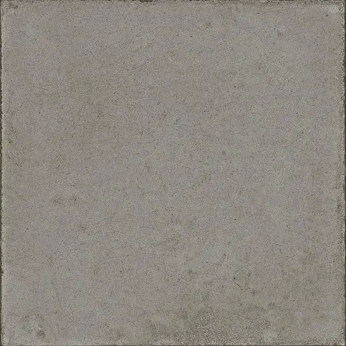 Ragno, Ottocento, RKMR_OTTOCENTO POMICE