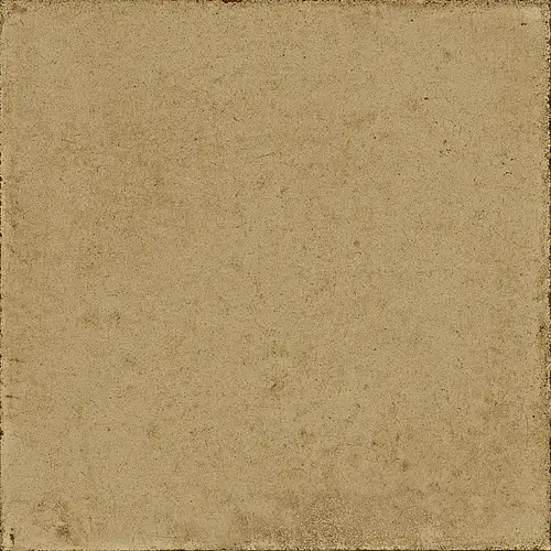 Ragno, Ottocento, RKMU_OTTOCENTO OCRA