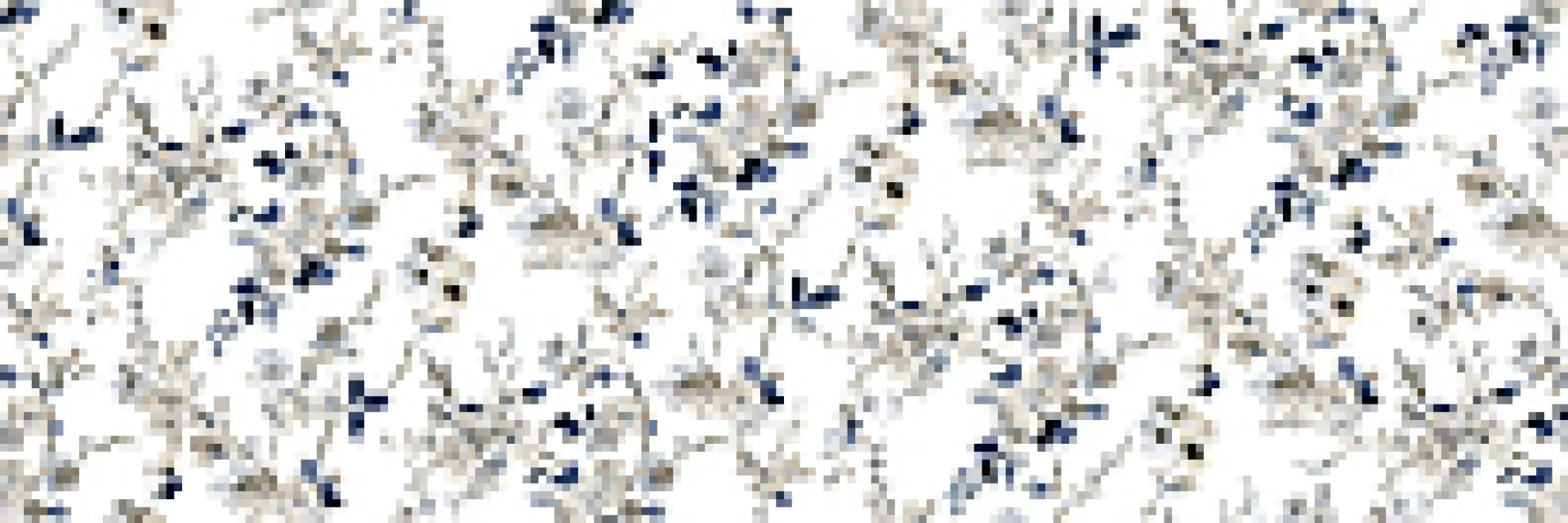 RA8Z_PapersBranchTouch Ragno Papers