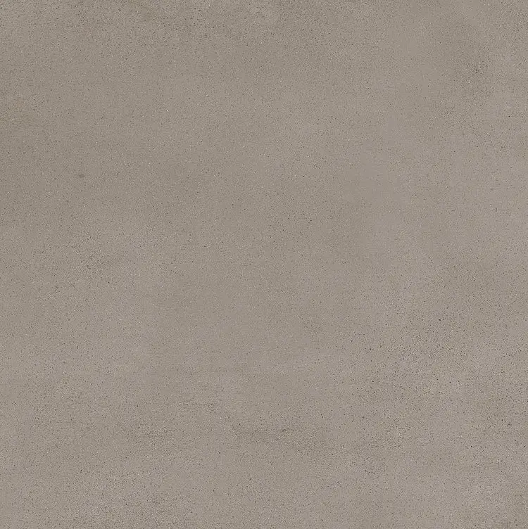 R55M_ReplaceTortora Ragno Replace