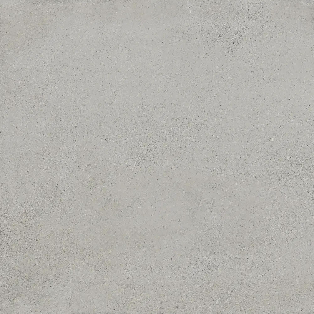 R5JD_ReplaceGrigioC2Rt Ragno Replace