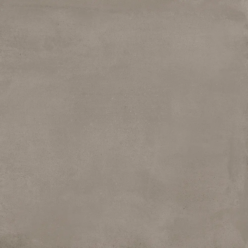 R5JH_ReplaceTortoraC2Rt Ragno Replace