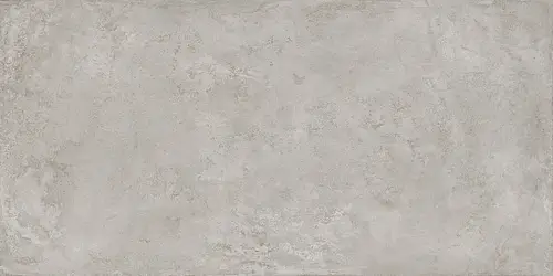 Ragno, Roots, R8LF_RootsGreyRt