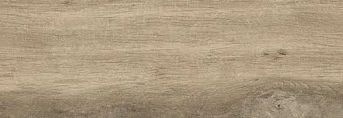Ragno, Woodmania XT20, R5TR_WoodmaniaXt20HoneyRet