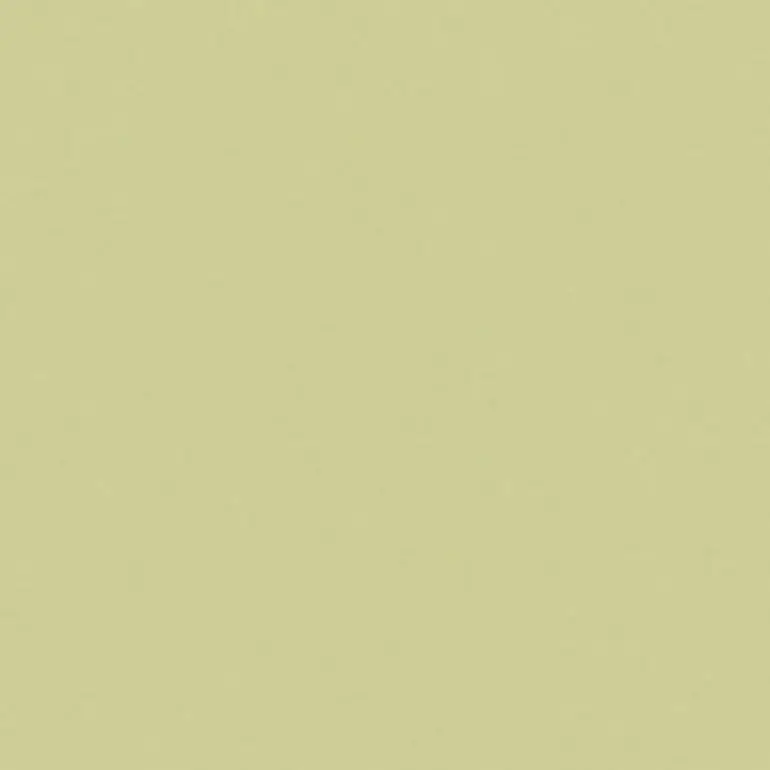 3126083S71_CromaticaPistachioSoft Revigres Cromatica