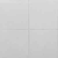 Cromatica By Revigres Tile Expert Distributor Of Portuguese Tiles Revigres Cromatica Cromatico Square 4 Superbranco Pol 30 Public Es Outdoors Unicolor